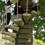 CanopyStair-in-tree