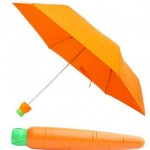 Carrot-umbrella