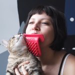 Cat licking brush
