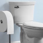 Charmin Forever Roll