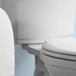 Charmin-Forever-Roll-featured