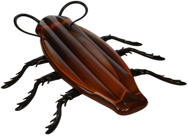 Cockroach-11