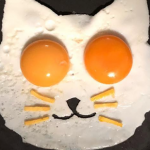 Egg-cat-featured