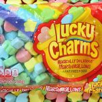 Faetured-Lucky-Charms-Magically-Delicious-Marshmallows