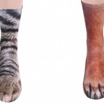 Featured-paw-socks