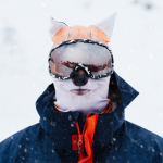 Fox-ski-mask