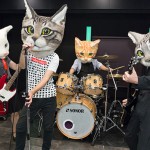 Giant-Cat-Head-band