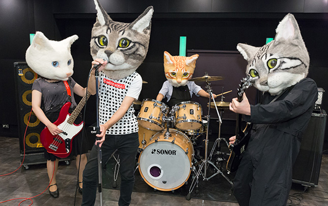 Giant-Cat-Head-band