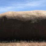 Giant Potato Hotel Airbnb