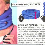 Harriet Carter neck air cushion