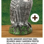 Hooting Owl Harriet Carter