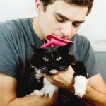 Lick your cat brush