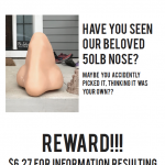 Lost nose