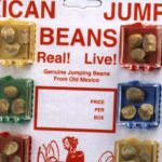 Mexican-Jumping-Beans-featured