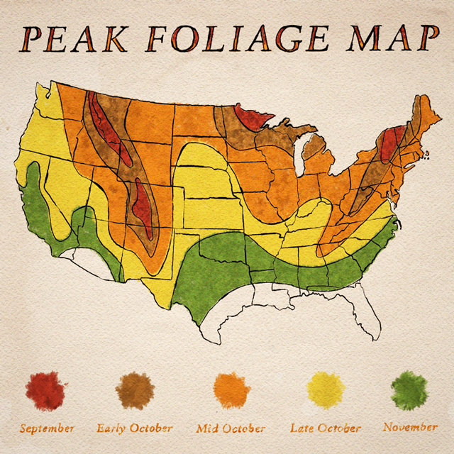 Peak Foliage Map