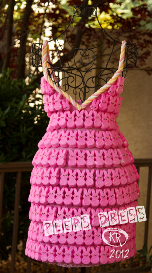 Kimberly Reinhart Peeps Dress