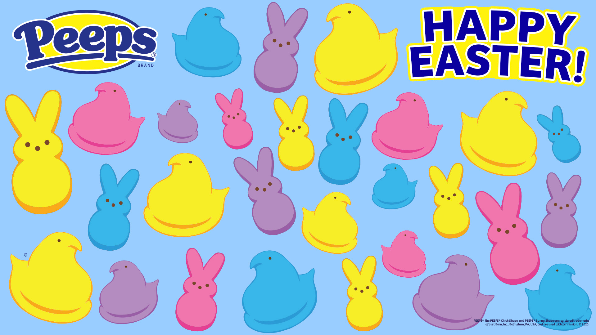 665 Easter Peeps Stock Photos  Free  RoyaltyFree Stock Photos from  Dreamstime