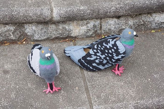 Pigeon-Shoes-3