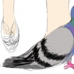 Pigeon Shoes 7