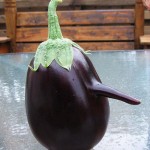 Pinocchio-eggplant