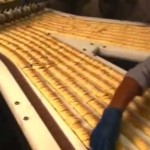 Pringles-assembly-line