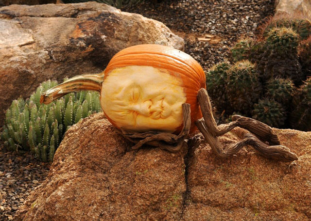 pumpkin-2