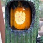 Pumpkin-in-cactus