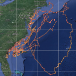 Shark tracker