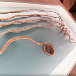 Screen Shot 2018-07-18 at 12.08.05 PM