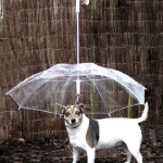Dogbrella, the dog umbrella