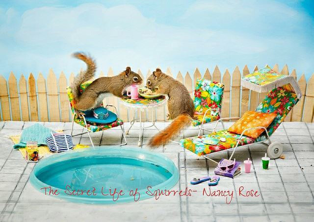 Secret-Life-of-Squirrels-bbq