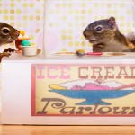 Secret-Life-of-Squirrels-ice-cream-featured