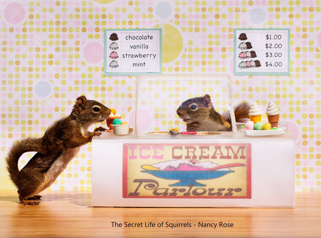 Secret-Life-of-Squirrels-ice-cream