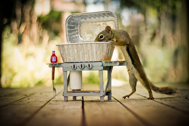 Secret-life-of-squirrels-barbeque