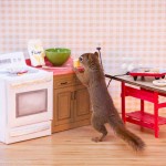 Secret-life-of-squirrels-kitchen