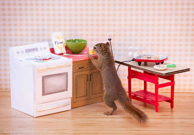 Secret-life-of-squirrels-kitchen