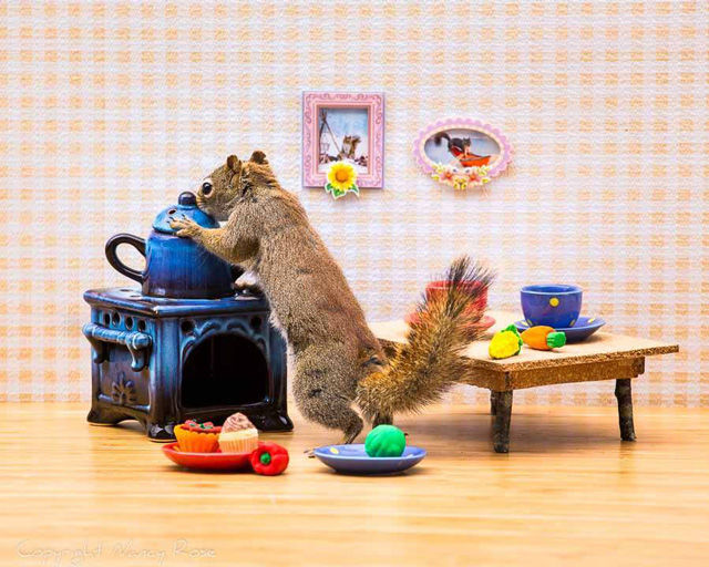 Secret-life-of-squirrels-tea
