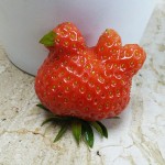 Strawberry-Chicken