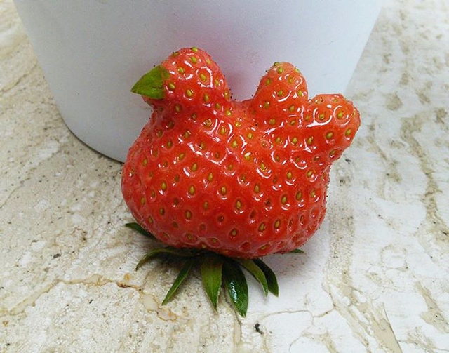 Strawberry-Chicken
