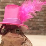 Toad-feather-top-hat-featured