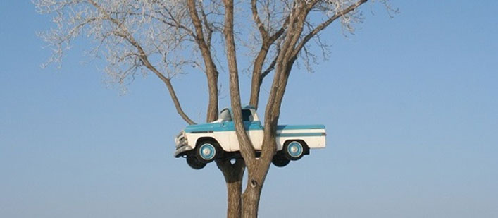 Image result for car in tree