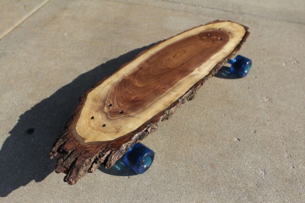 Tree slice skateboard
