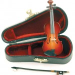 World’s-tiniest-violin