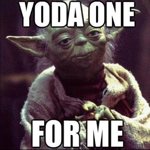 Yoda #8