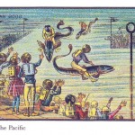 a-race-in-the-pacific
