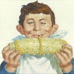 aenewmancorn