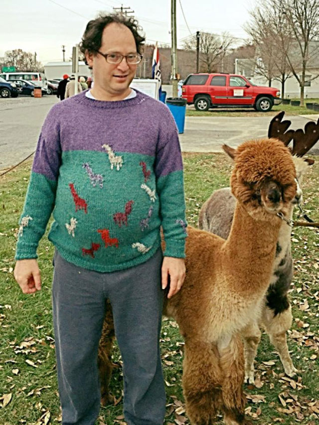 alpaca