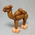 camel