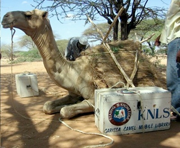 camellibrary