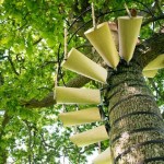 canopy-stair-thor-ter-kulve-robert-mcintyre-7.jpg.650x0_q70_crop-smart